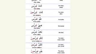 Conjugating Present Tense Verbs in Arabic [upl. by Ormand370]