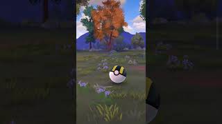 Togedemaru shiny music pokemon shinypokemon shiny pokemongo [upl. by Nueoras770]