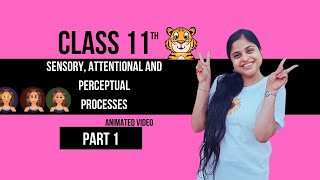 Sensory attentional and perceptual processes  Part 1  Psychology Class 11 chapter 4 CBSE 202425 [upl. by Jaquith493]