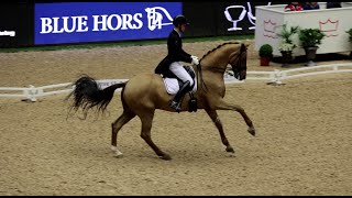 Daniel Bachmann  MarshallBell  Grand Prix [upl. by Vizza]