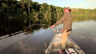 BEST PIRAIBA LAU LAU FISHING IN SOUTH AMERICA CATCHING MONSTER FISH BELOW THE WONOTOBO FALLS [upl. by Marguerite]