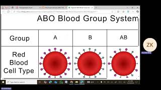 ABO Blood Groups amp Rh Blood Group System  Biology Chapter 22  Professor Zia Ul Haq  Unique LDA [upl. by Nossah]