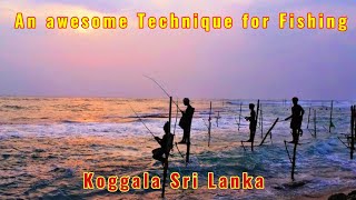 An awesome Technique for Fishing ❤️ Koggala Sri Lanka [upl. by Erialcyram798]