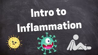 Introduction to Inflammatory Response [upl. by Eylatan]