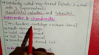 Class osteichthyes classification in Hindi2 [upl. by Isadora]