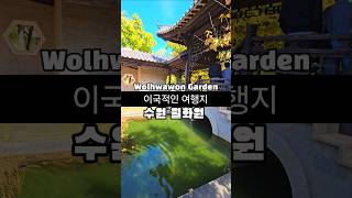 이국적인 국내여행지 수원 월화원 외국 같은 여행지 11월 국내여행지 추천 11월에 가볼만한곳 수원 여행 아름다운 정원 [upl. by Helene]