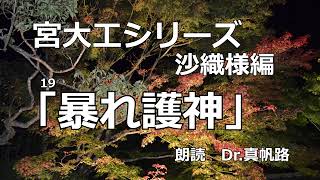 【朗読】宮大工シリーズ 第十九話 沙織様編「暴れ護神」 [upl. by Dlaner]