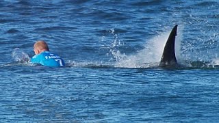 Surfer Fights Off Shark Attack On Live TV During Competition [upl. by Rask]