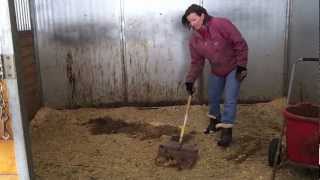 How to Clean a Stall [upl. by Yemar718]