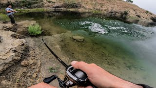 INSANE Topwater Bass Fishing from Shore at Castaic Lake [upl. by Hearn]