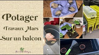 3ème épisode  Potager sur balcon en Mars [upl. by Airbmat]