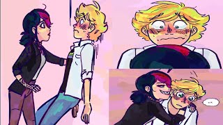 Shadybug And Adrien A Miraculous Ladybug Comic Dub [upl. by Stein]