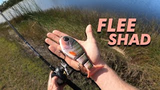 Throw Back Swimbaits  Flee Shad Review Floating Swimbait [upl. by Doersten]