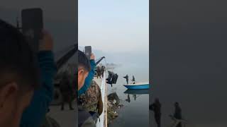 Mahindra Thar Vehicle Plunges Into Dal Lake Accident On Foreshore Road Near Duckpark Hazratbal [upl. by Inafit275]