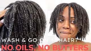 How To Do A Wash And Go on Natural 4c Hair with Mousse ONLY  WASH DAY [upl. by Areek935]