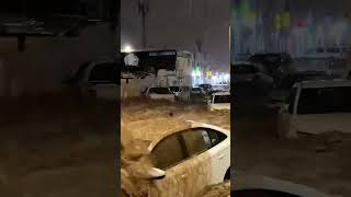 Floods in in Medina Saudi Arabia  3082024 امطارالمدينه [upl. by Erlin]