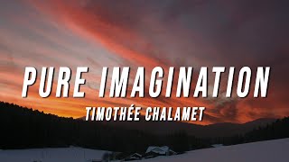 Timothée Chalamet  Pure Imagination Lyrics from Wonka [upl. by Dyane]