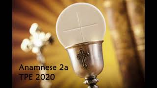 Anamnese 2a TPE 2020 [upl. by Eehc]