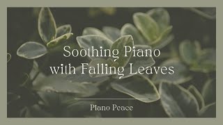 Falling Leaves  Soothing Piano Solos [upl. by Lenad88]