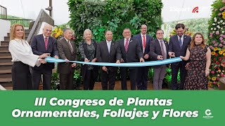 Exportación de flores y plantas guatemaltecas creció un 11 en 2024 [upl. by Zined]