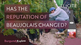 What is Beaujolais Wine Breaking Down The Region [upl. by Noonan]