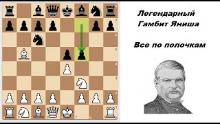 Легендарный Гамбит Яниша Schliemann Defense Разложил по полочкам [upl. by Ramona]