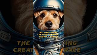 Laika The First Creature in Space historyspace [upl. by Norene465]