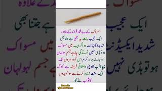 miswak k fawaid مسواک کے فوائد👍💞 [upl. by Tolecnal]