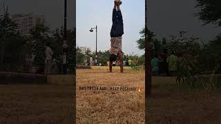 Handwalk Pro – Balance Strength Repeat 🤸‍♂️🔥” [upl. by Lorenz903]