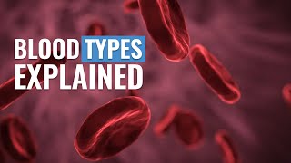 Understanding Blood Types and Rh factor [upl. by Yenterb670]