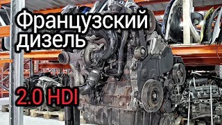 Самый надежный французский мотор Разбираем турбодизель 20 HDI DW10TD  RHY [upl. by Saville746]