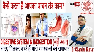 कैसे करता है आपका पाचन तंत्र कामDIGESTIVE SYSTEM amp INDIGESTION खट्टी डकारmathsmasti [upl. by Warila]