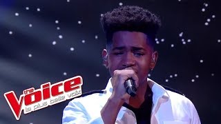 Lisandro Cuxi  « Si seulement je pouvais lui manquer » Calogero  The Voice 2017  Live [upl. by Ramoh193]