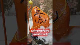 Kaal Bhairav Ashtakam kaalbhairav kalbhairavtemple kaalbhairavashtakam shorts shortvideo new [upl. by Retsam]