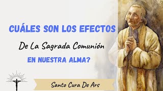 MARAVILLOSOS EFECTOS de la sagrada comunión en el ALMA Santo Cura de Ars Sermones [upl. by Ratib]