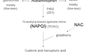 Acetaminophen Toxicity  Poisoning [upl. by Etteluap785]