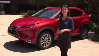 2015 Lexus NX Interior Features Walk Around  Lexus [upl. by Llydnek]