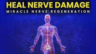 Miracle Nerve Regeneration Binaural Beats to Heal Nerve Damage Nerve Healing [upl. by Solnit]