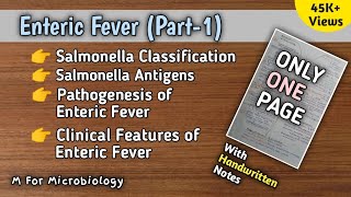 Enteric fever Typhoid and Paratyphoid fever [upl. by Ahsaeyt]