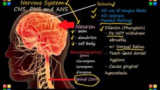 NCLEX Review Neurological System [upl. by Astor]