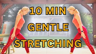 10 MIN TOTAL BODY STANDING STRETCHING WORKOUT [upl. by Aihsiym]