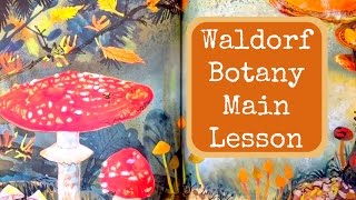 WALDORF MAIN LESSON BOTANY  UNIT STUDY PLANTS amp TREES  HOMESCHOOL [upl. by Ecnadnak]