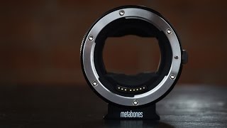 Sigma 56mm f14 DC DN C lens review with samples [upl. by Lovash]