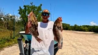 Key West Grouper Season opening day [upl. by Hnahym]