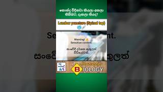 Lumbar puncture Spinal tap💉  Medical biology  අපි නොදන්න Biology  7🫀biology medical shorts [upl. by Elahcar]