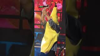 Harry Styles being obsessed with bananas for one minute straight [upl. by Otsugua]