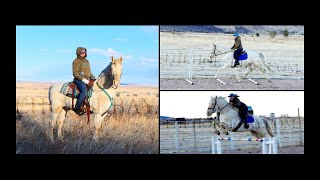 Blue Eyed Cremello Andalusian Gelding For Sale  DrivingJumpingDressage [upl. by Cormack]