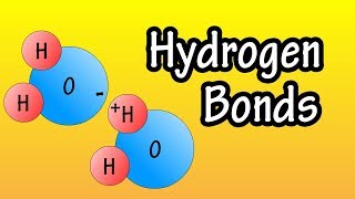 Hydrogen Bonds  What Are Hydrogen Bonds  How Do Hydrogen Bonds Form [upl. by Elkin]