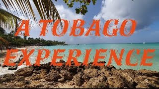 5 Things To Do In Tobago [upl. by Ymac]