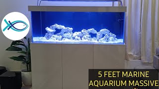 5 Feet Marine Aquarium Setup in Chennai [upl. by Atiuqal541]